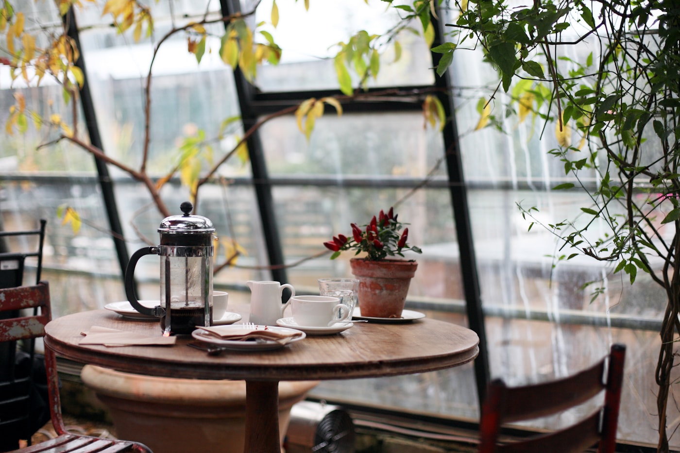 Cafe counter with warm light and everyday service details